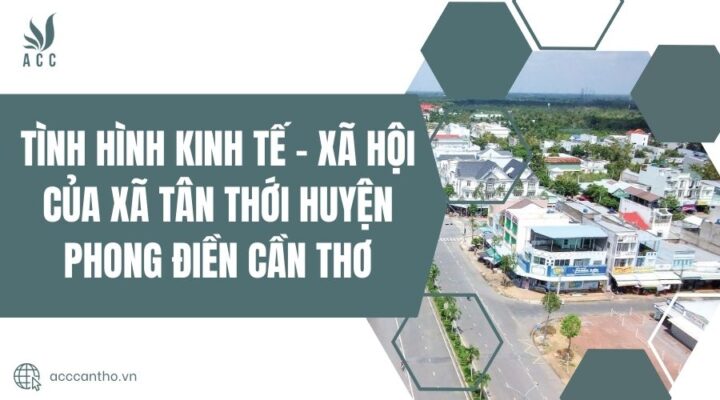 Tình hình kinh tế - xã hội của Xã Tân Thới Huyện Phong Điền Cần Thơ