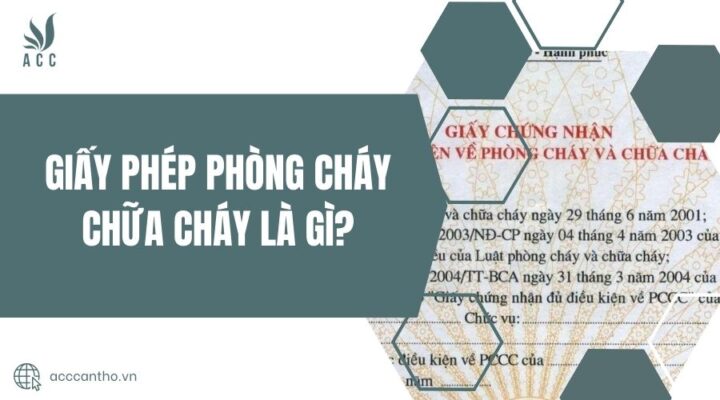 fv88 fv88 đá gà trực tiếp là gì?
