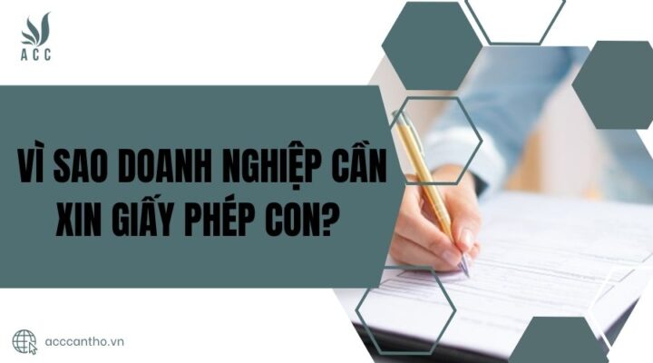 Vì sao doanh nghiệp cần xin giấy phép con?