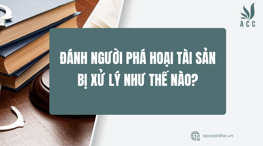 Đánh người phá hoại tài sản bị xử lý như thế nào?