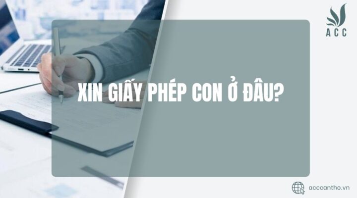 Xin giấy phép con ở đâu?
