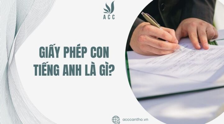 fv88 con tiếng Anh là gì?