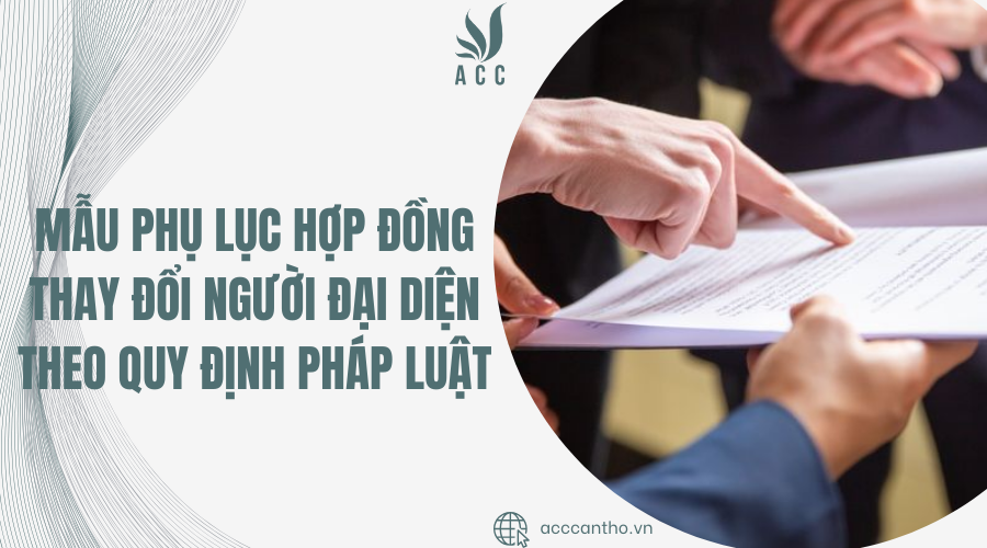 mẫu phụ lục hợp đồng thay đổi người đại diện