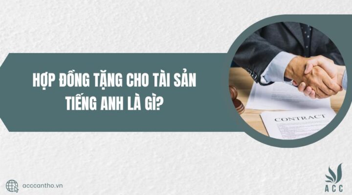 Hợp đồng tặng cho tài sản tiếng Anh là gì?