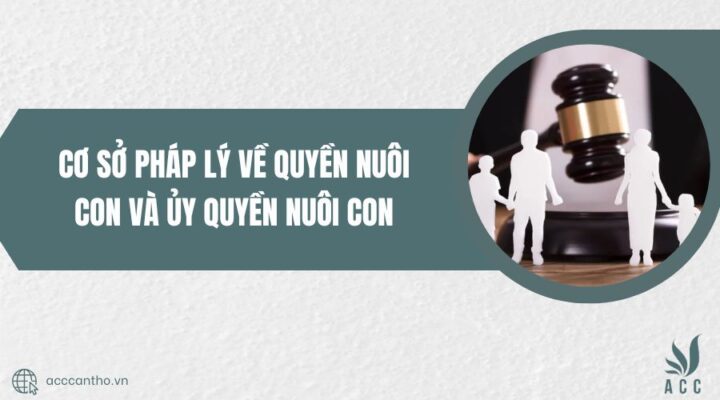 Cơ sở fv88 nhà cái về quyền nuôi con và ủy quyền nuôi con