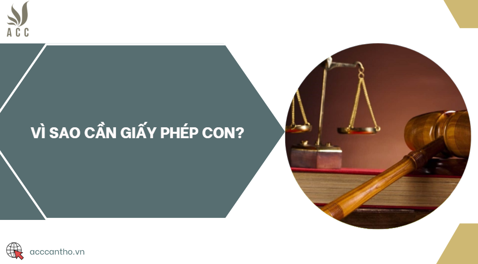 Vì sao cần giấy phép con? 