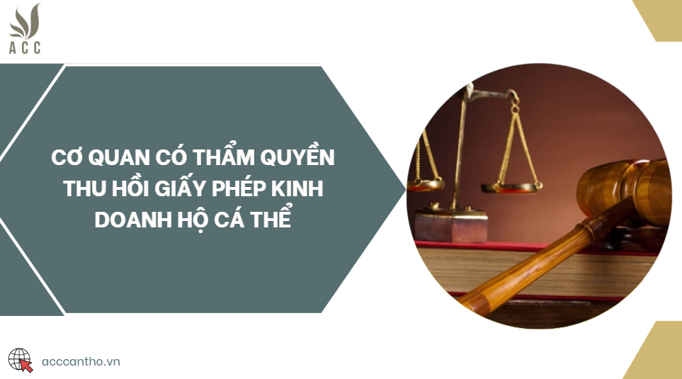 Cơ quan có thẩm quyền thu hồi giấy phép fv888 hộ cá thể