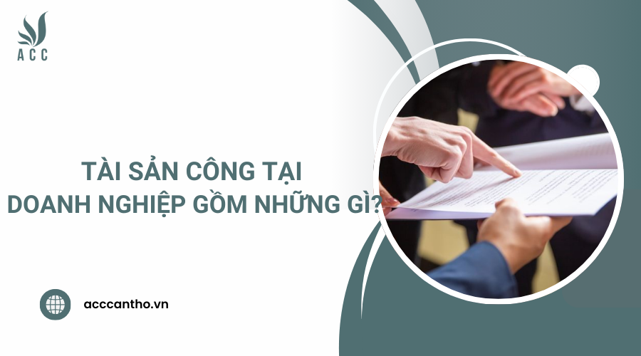 tài sản công tại doanh nghiệp