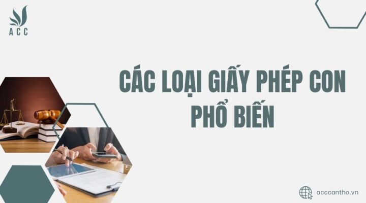 Các loại giấy phép con phổ biến
