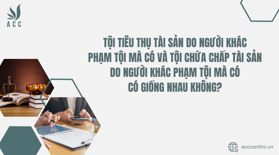 Tội tiêu thụ tài sản do người khác phạm tội mà có và tội chứa chấp tài sản do người khác phạm tội mà có có giống nhau không? 