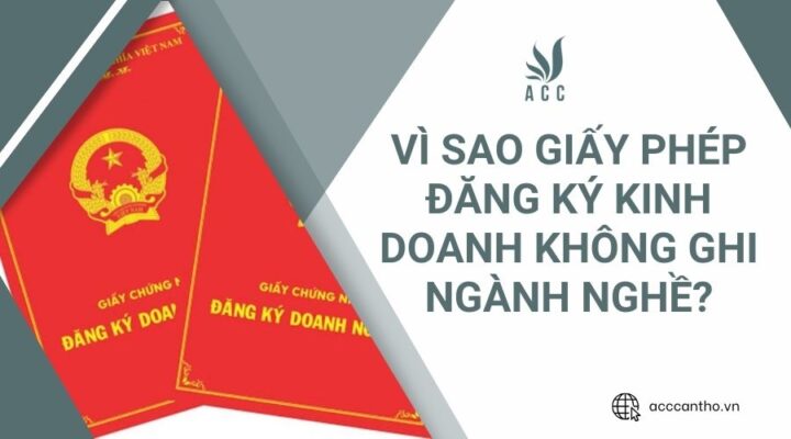 V&igrave; sao giấy ph&eacute;p đăng k&yacute; fv888 kh&ocirc;ng ghi ng&agrave;nh nghề?