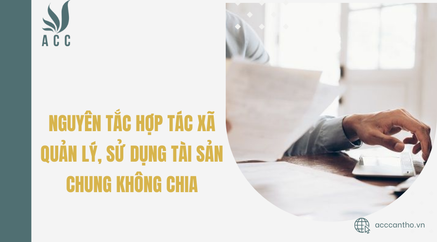 Nguyên tắc hợp tác xã quản lý, sử dụng tài sản chung không chia