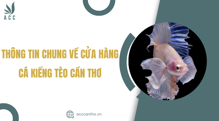 cá kiểng tèo cần thơ