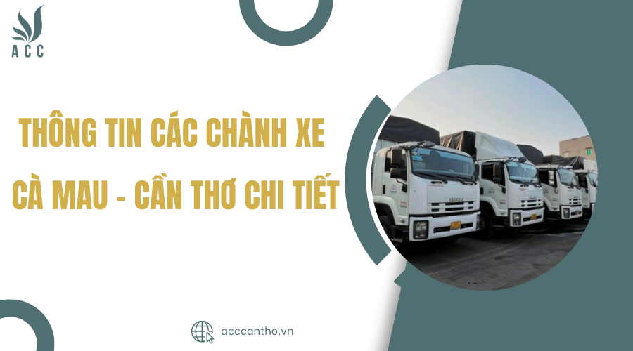 chành xe cà mau cần thơ