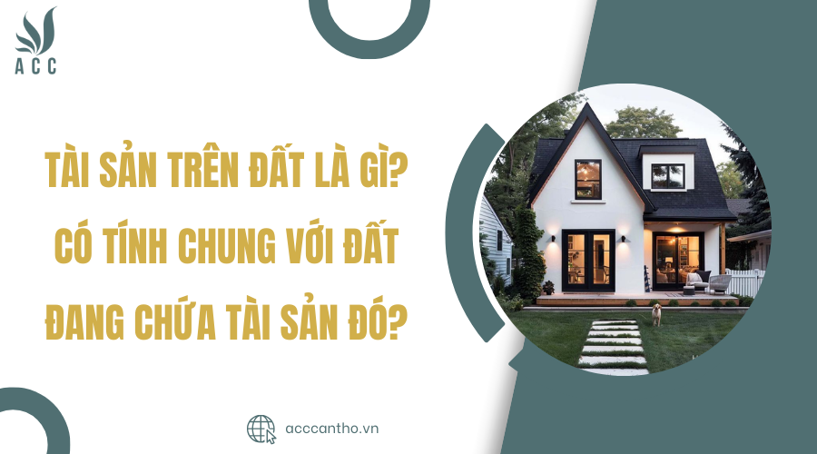 tài sản trên đất là gì