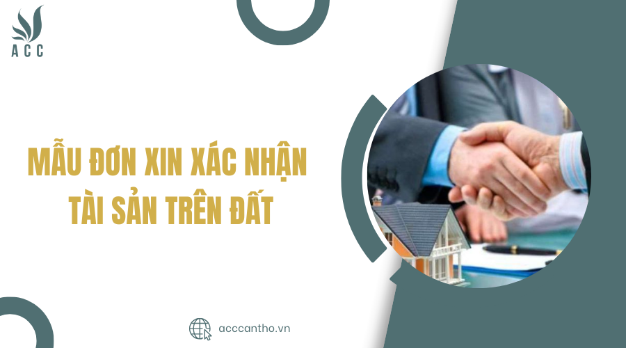 Mẫu đơn xin xác nhận tài sản trên đất