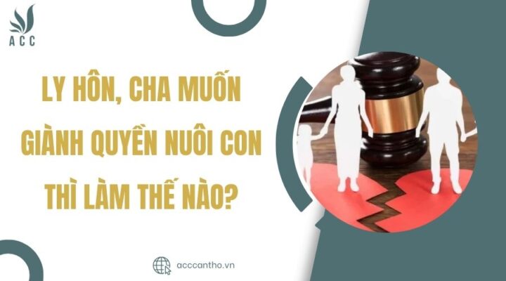 fv88 tài xỉu, cha muốn giành quyền nuôi con thì làm thế nào?