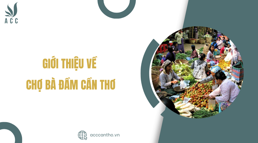 Giới thiệu về chợ Bà Đầm Cần Thơ