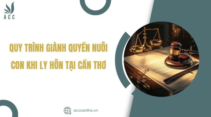 Quy trình giành quyền nuôi con khi ly hôn tại Cần Thơ