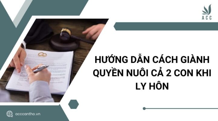 Hướng dẫn cách giành quyền nuôi cả 2 con khi ly hôn