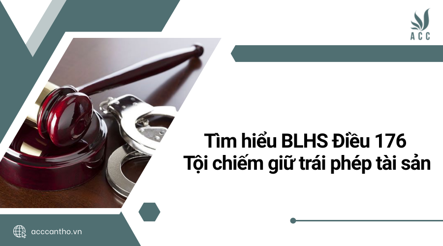 điều 176 tội chiếm giữ trái phép tài sản