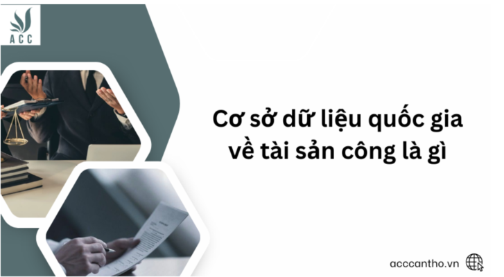 Cơ sở dữ liệu quốc gia về tài sản công là gì