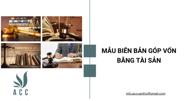 Mẫu bi&ecirc;n bản g&oacute;p vốn bằng t&agrave;i sản