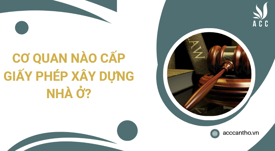Cơ quan nào cấp giấy phép fv88 vn nhà ở?