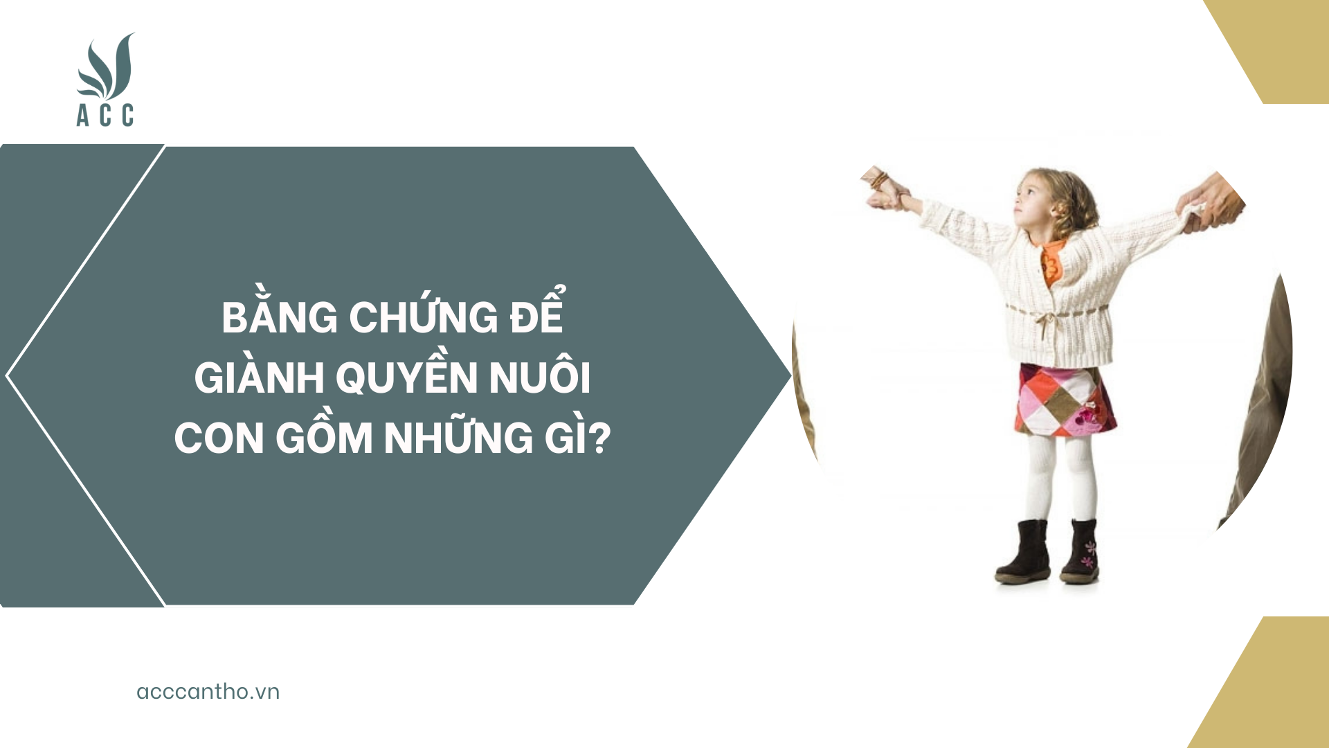 Bằng chứng để giành quyền nuôi con gồm những gì?