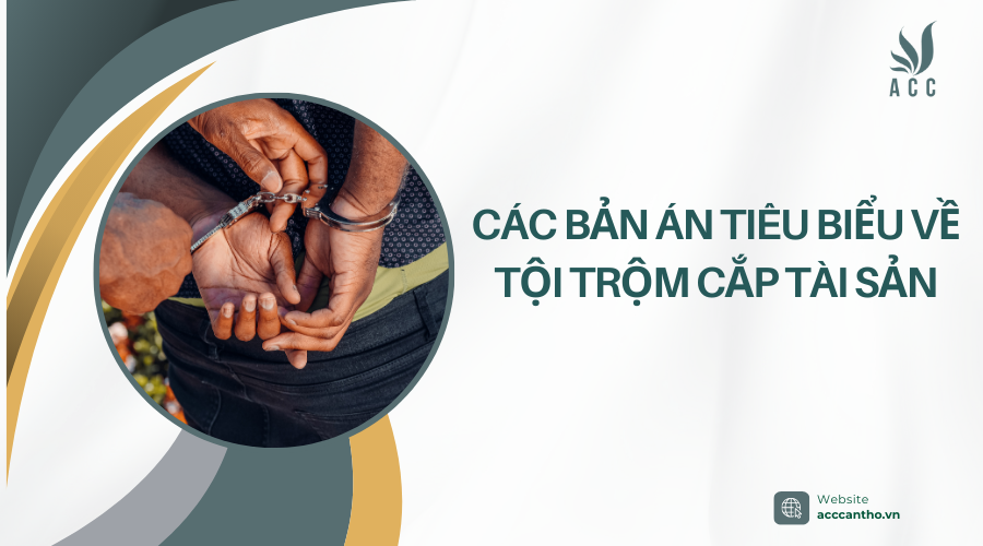 Các bản án tiêu biểu về tội trộm cắp tài sản