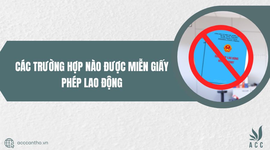 các trường hợp được miễn giấy phép fv88 link