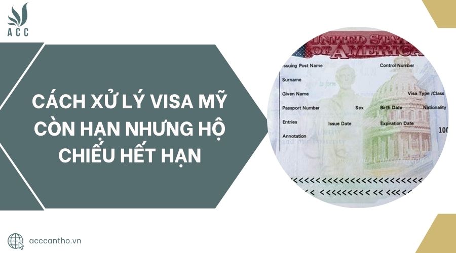 Cách xử lý visa Mỹ còn hạn nhưng hộ chiếu hết hạn