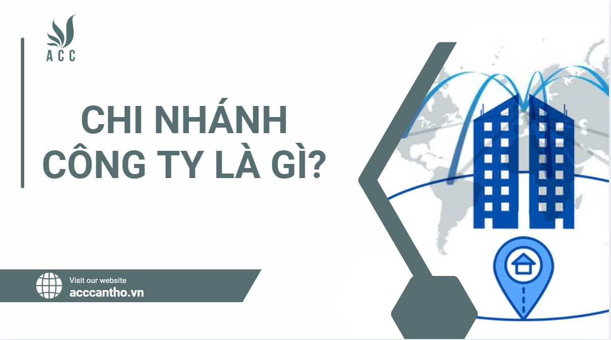 Chi nhánh công ty là gì?