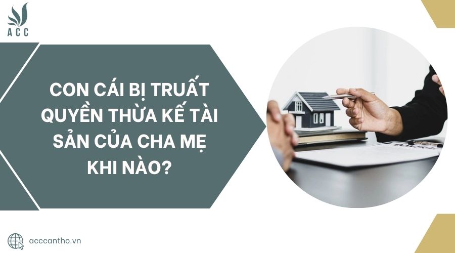 Con cái bị truất quyền thừa kế tài sản của cha mẹ khi nào?