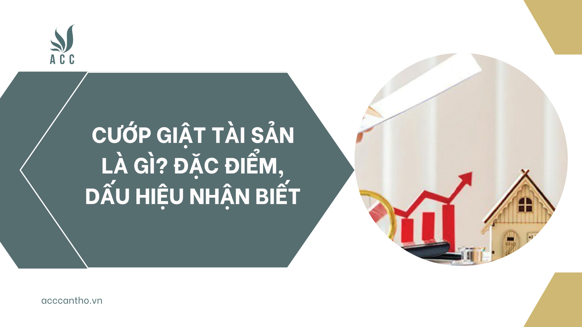 Cướp giật tài sản là gì? Đặc điểm, dấu hiệu nhận biết