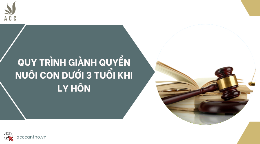 Quy trình giành quyền nuôi con dưới 3 tuổi khi ly hôn