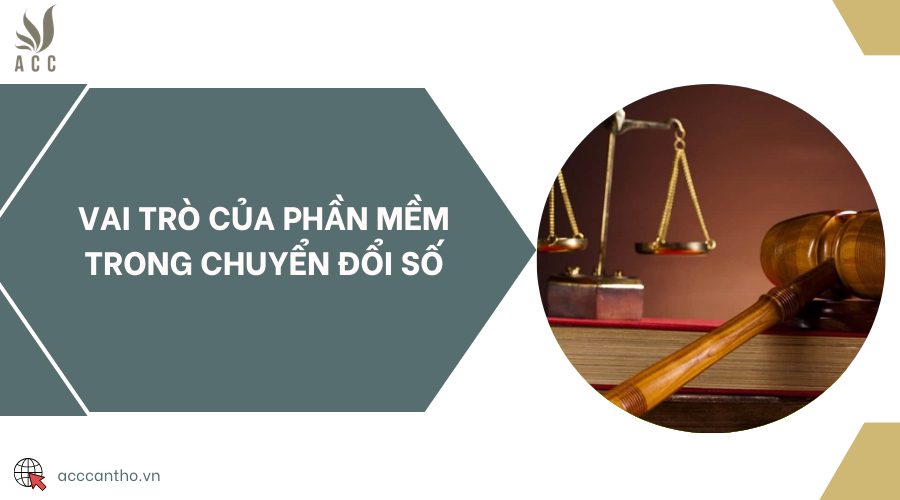 Vai trò của phần mềm trong chuyển đổi số