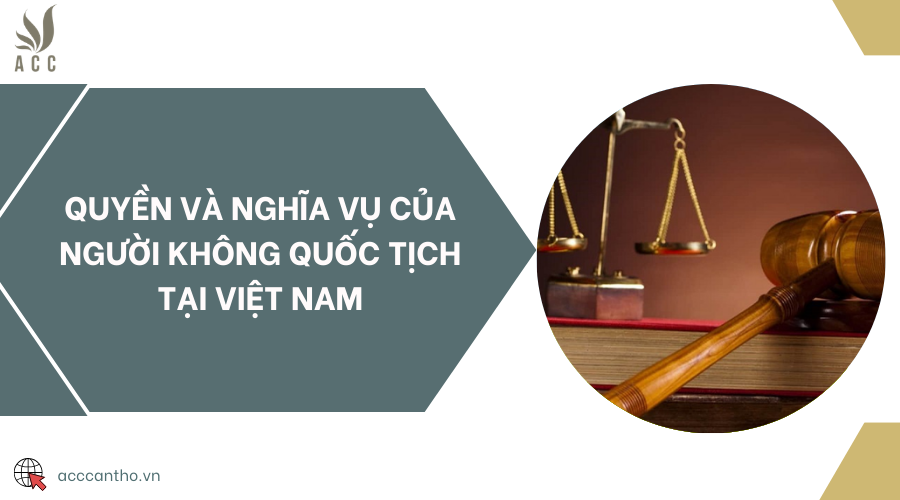 Quyền và nghĩa vụ của người không quốc tịch tại Việt Nam