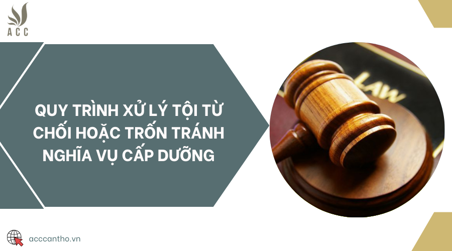 Quy trình xử lý tội từ chối hoặc trốn tránh nghĩa vụ cấp dưỡng