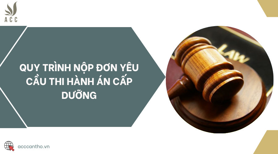 Quy trình nộp đơn yêu cầu thi hành án cấp dưỡng