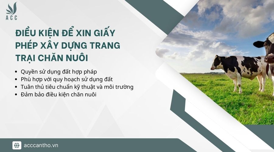 Điều kiện để xin giấy ph&eacute;p x&acirc;y dựng trang trại chăn nu&ocirc;i