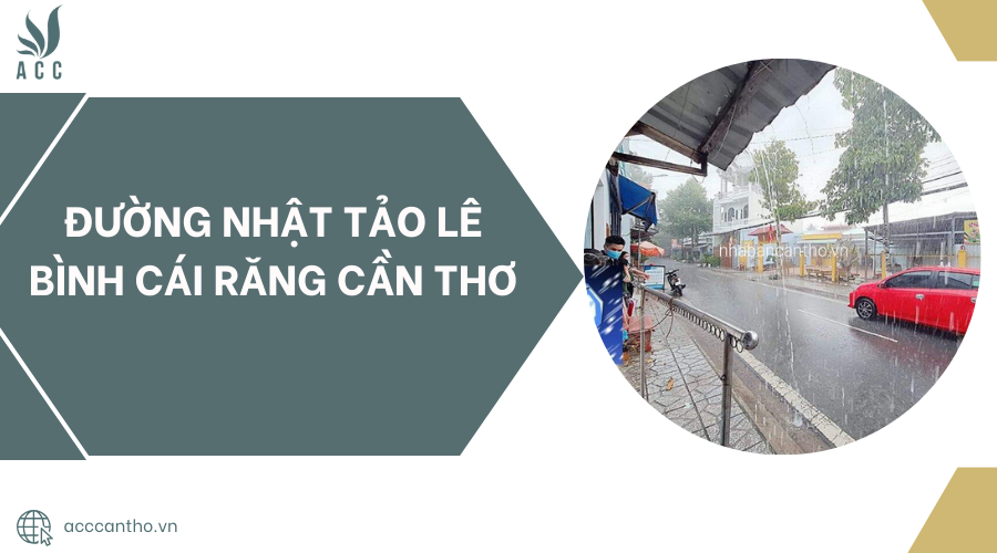 Đường Nhật Tảo Lê Bình Cái Răng Cần Thơ