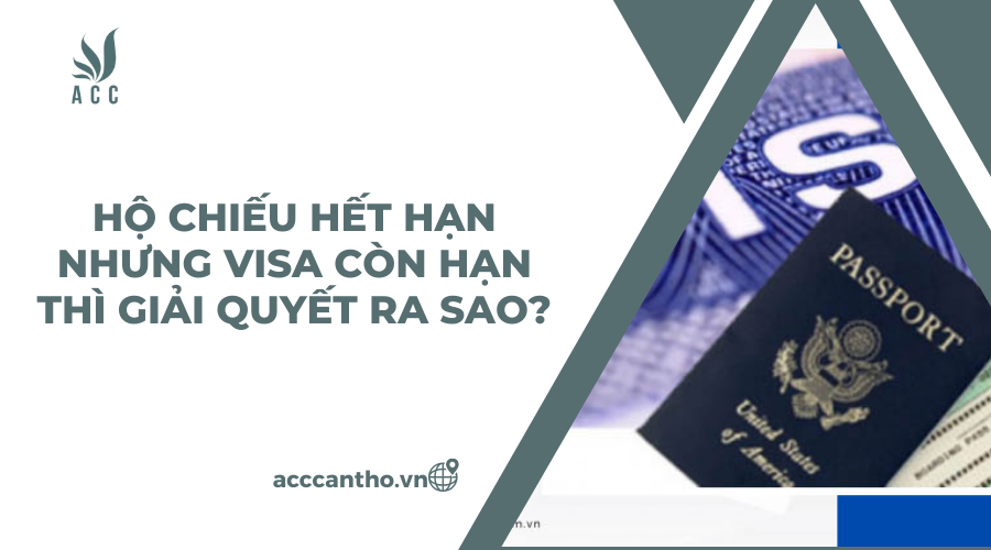 fv88 vn điện tử mới của Trung Quốc là gì?