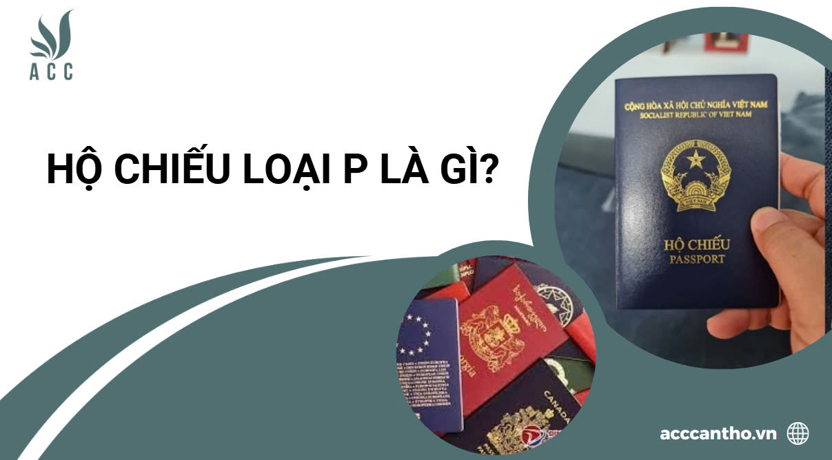 fv88 vn loại P là gì?