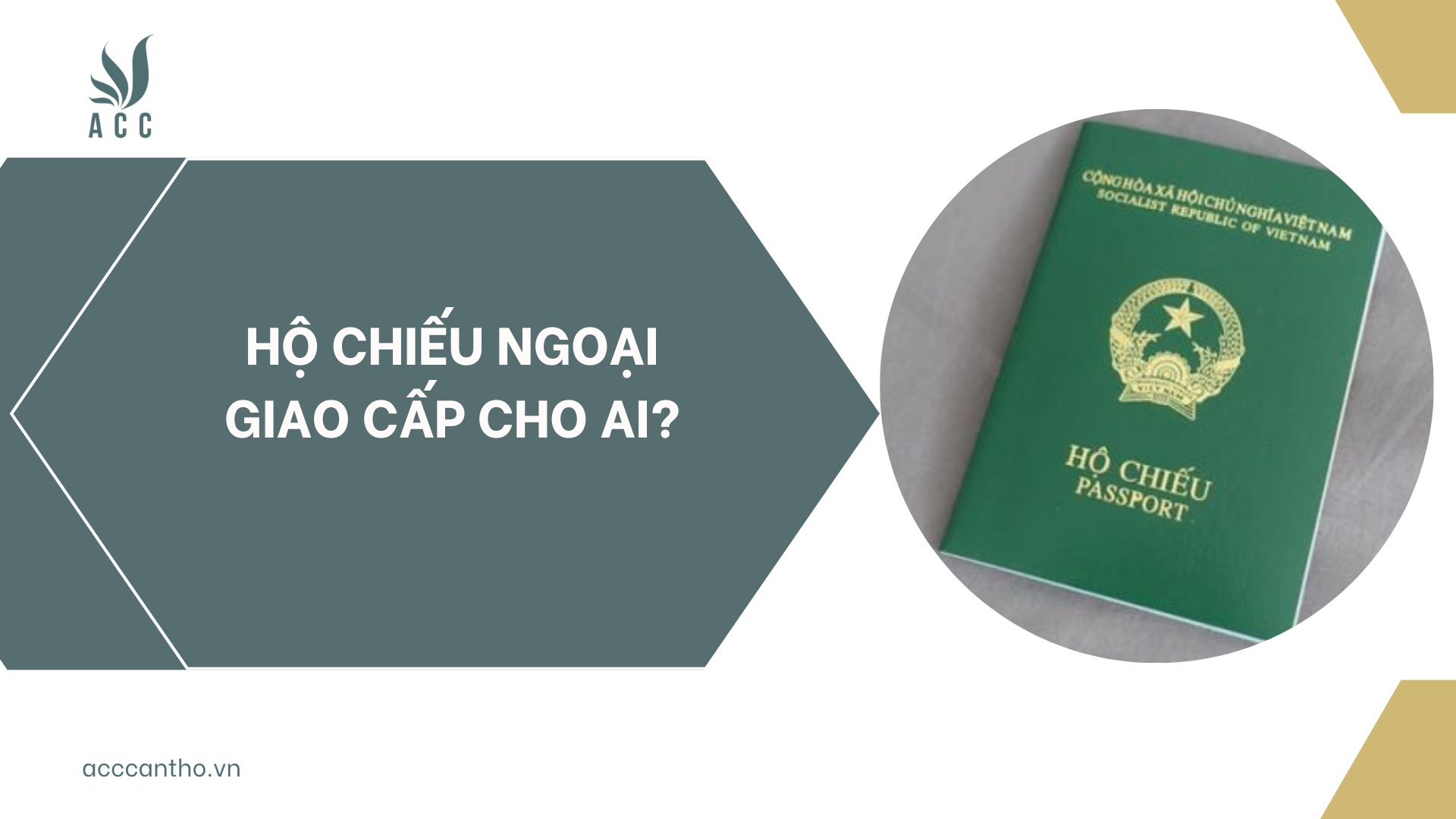 fv88 vn ngoại giao cấp cho ai?