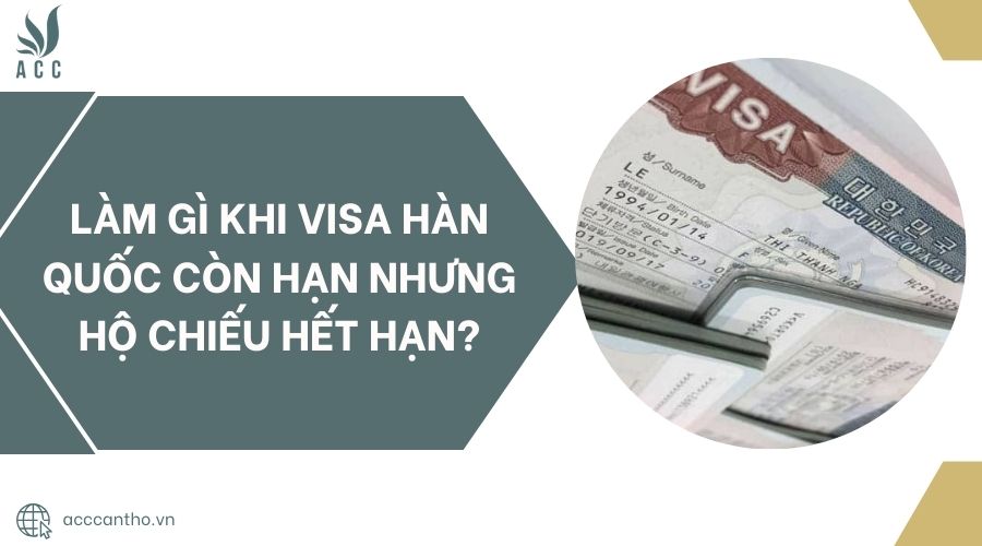 Làm gì khi visa Hàn Quốc còn hạn nhưng hộ chiếu hết hạn?
