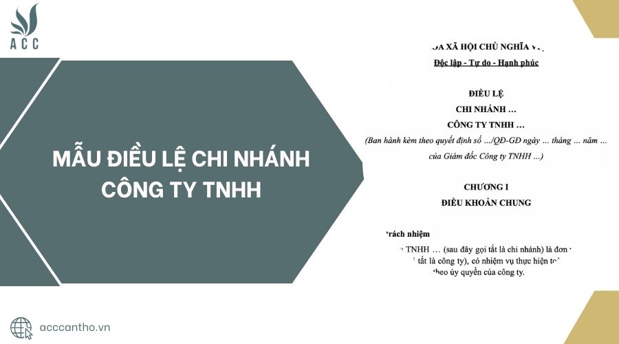 Mẫu điều lệ chi nhánh công ty TNHH