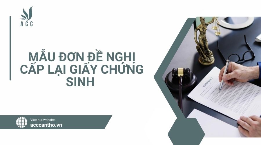 mẫu đơn đề nghị cấp lại giấy chứng sinh