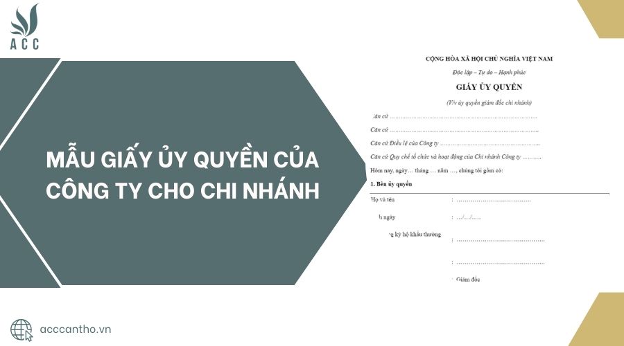 Mẫu giấy ủy quyền của c&ocirc;ng ty cho chi nh&aacute;nh
