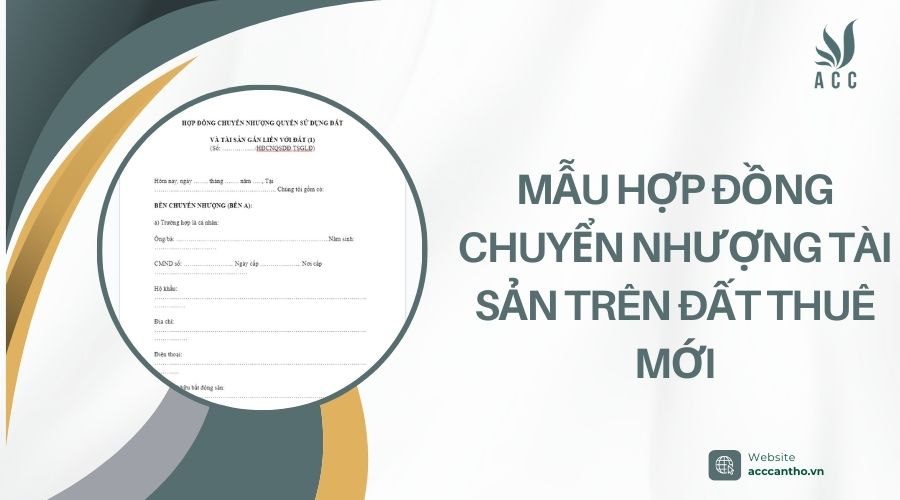 Mẫu hợp đồng chuyển nhượng tài sản trên đất thuê mới